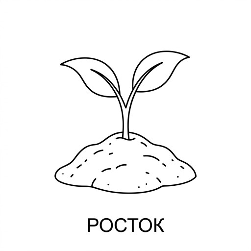Рост
