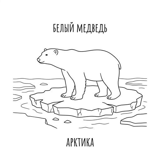 Белый медведь