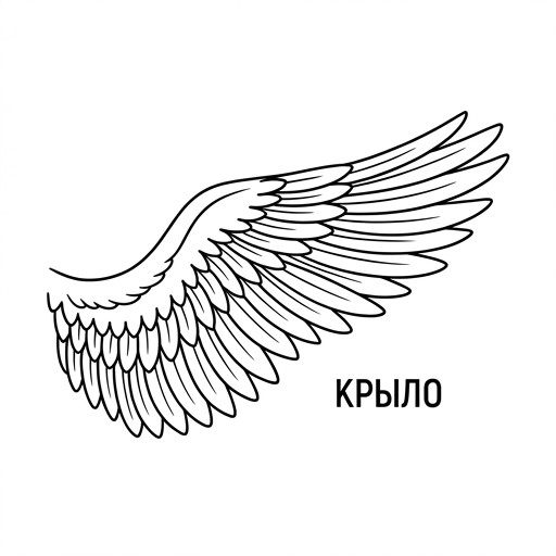 Крыло