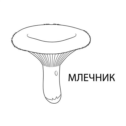 Груздь