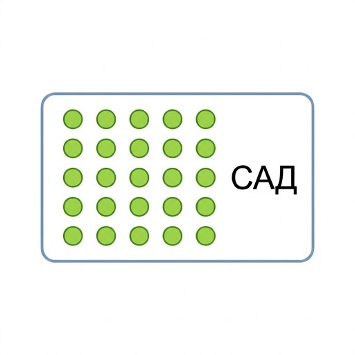Фруктовый сад (деревья, посаженные человеком)
