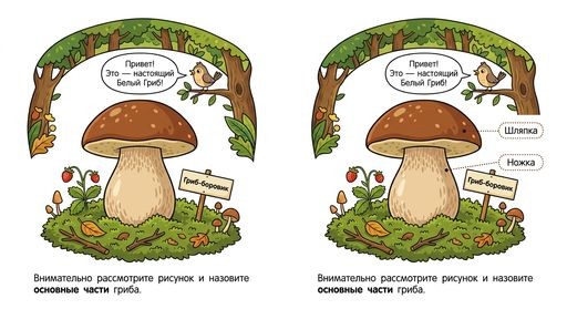 Гриб