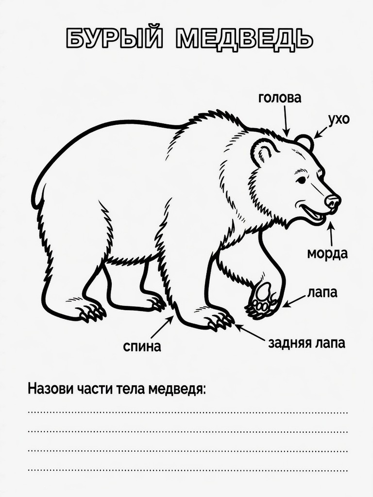 Всеядный