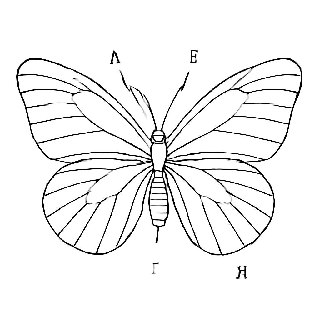 Вариант 4