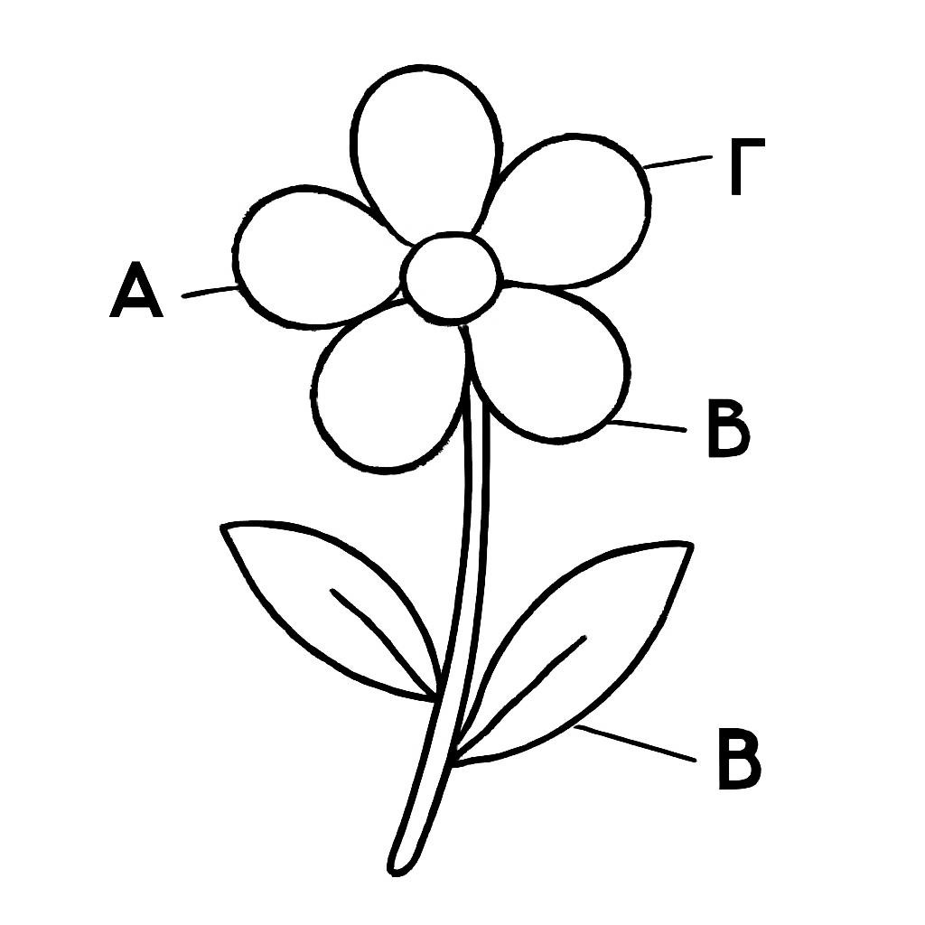 Цветик