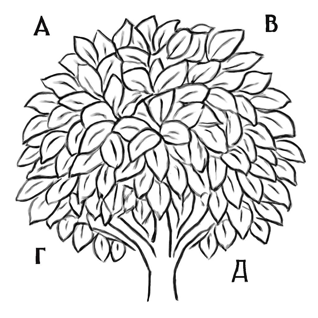 Листья дерева (Лексика)