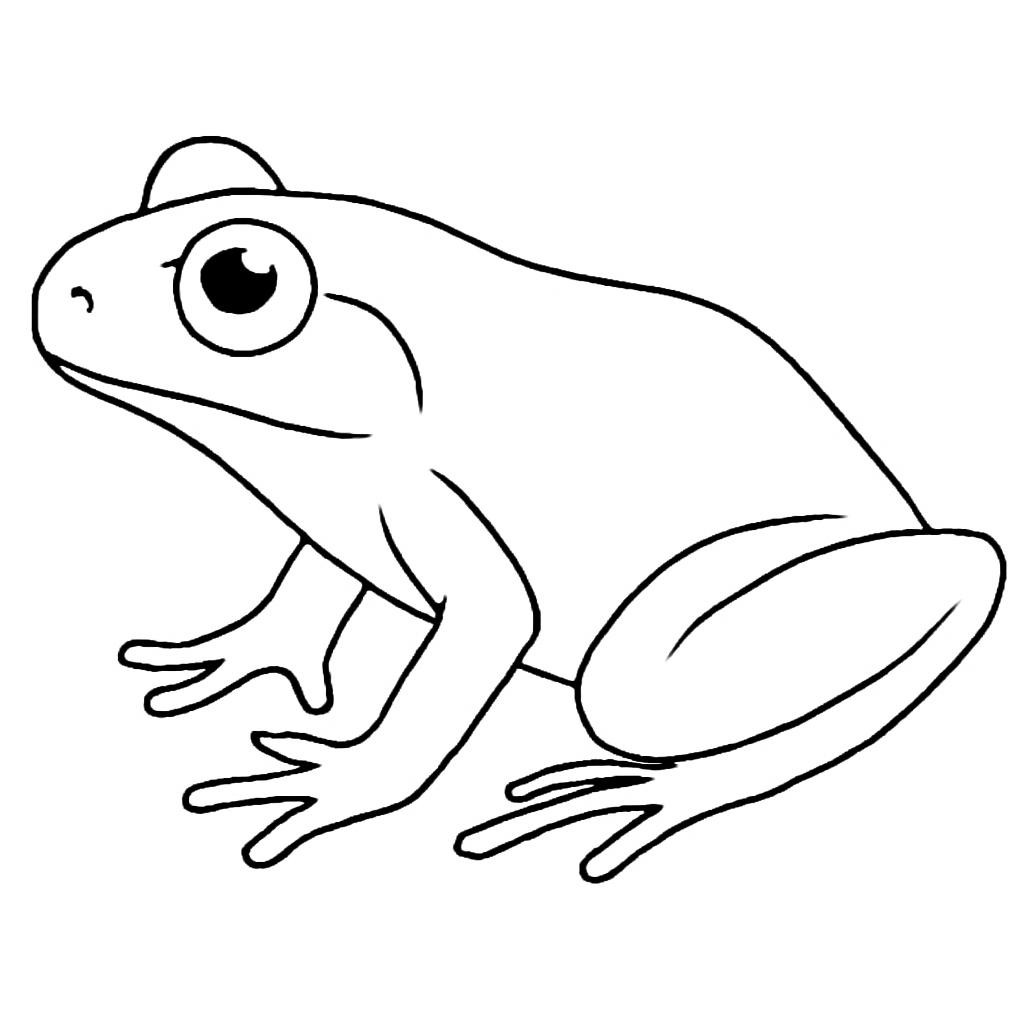 Лягушка