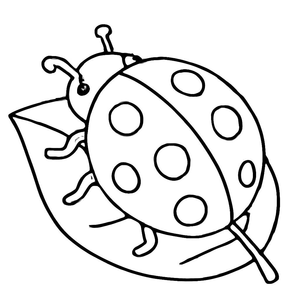 Божья коровка