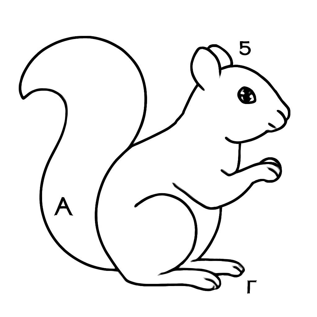 Белка
