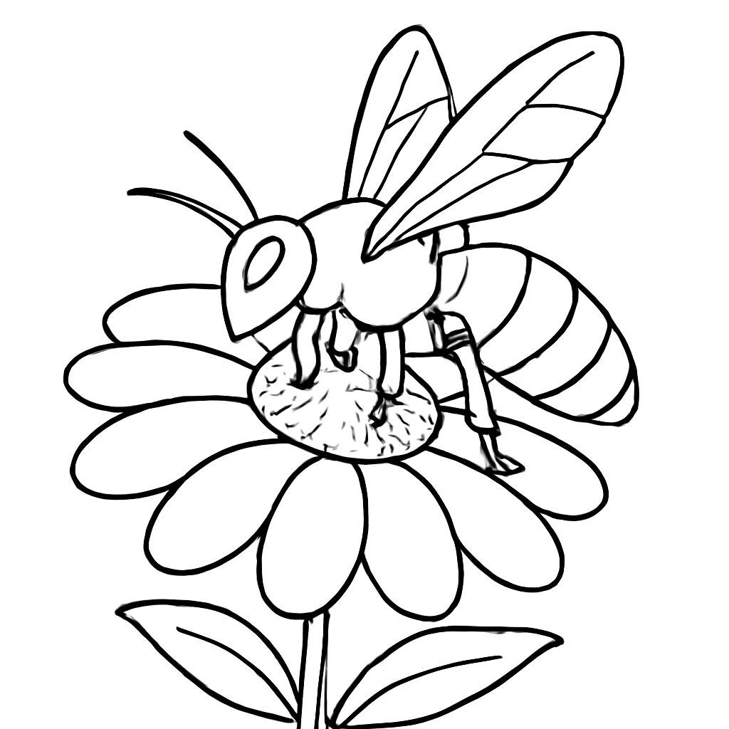 Black-and-white line-art coloring page for kids: a large wasp or bee on a summer flower, simple bold contours, no shading, white background, suitable for crayons.