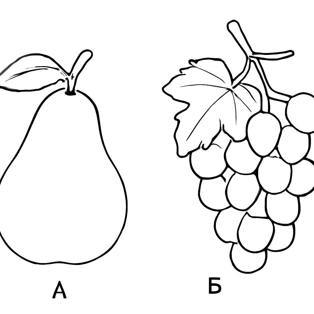 Black-and-white line-art: a realistic pear and a bunch of grapes on a branch, simple outlines for children.