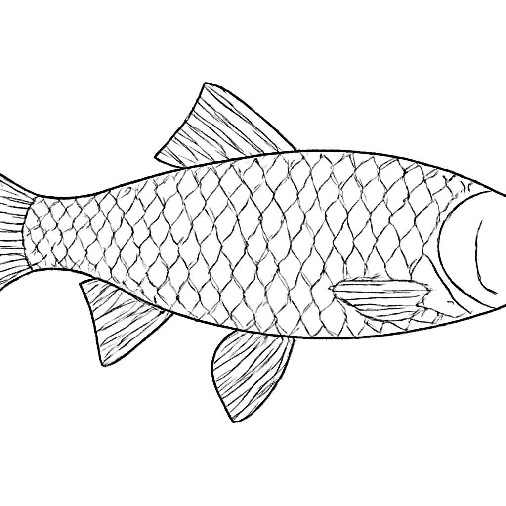 Рыба из моря Лаптевых
