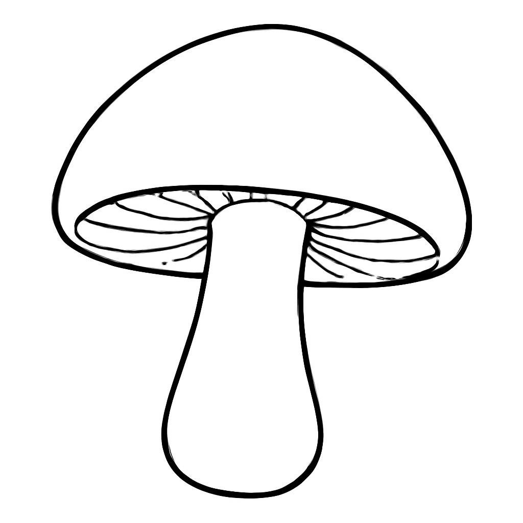 Гриб
