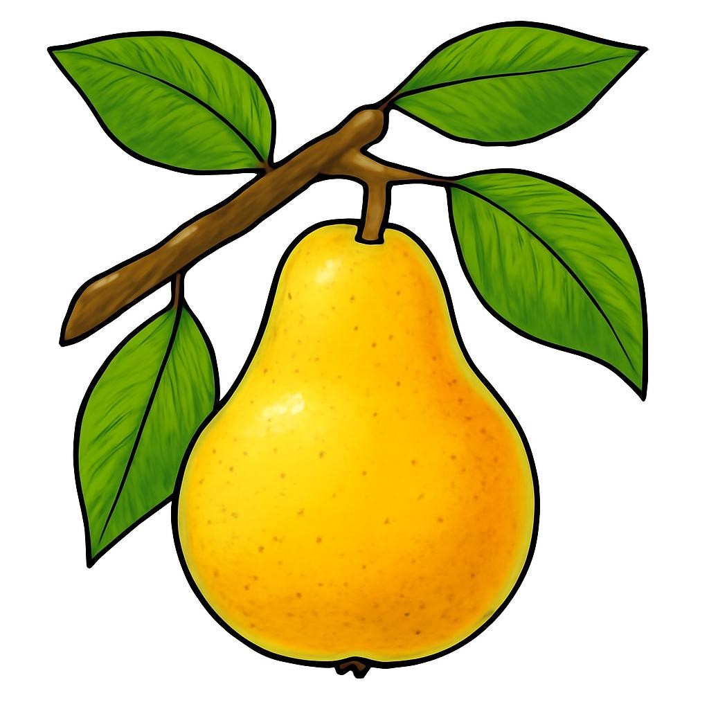 плод