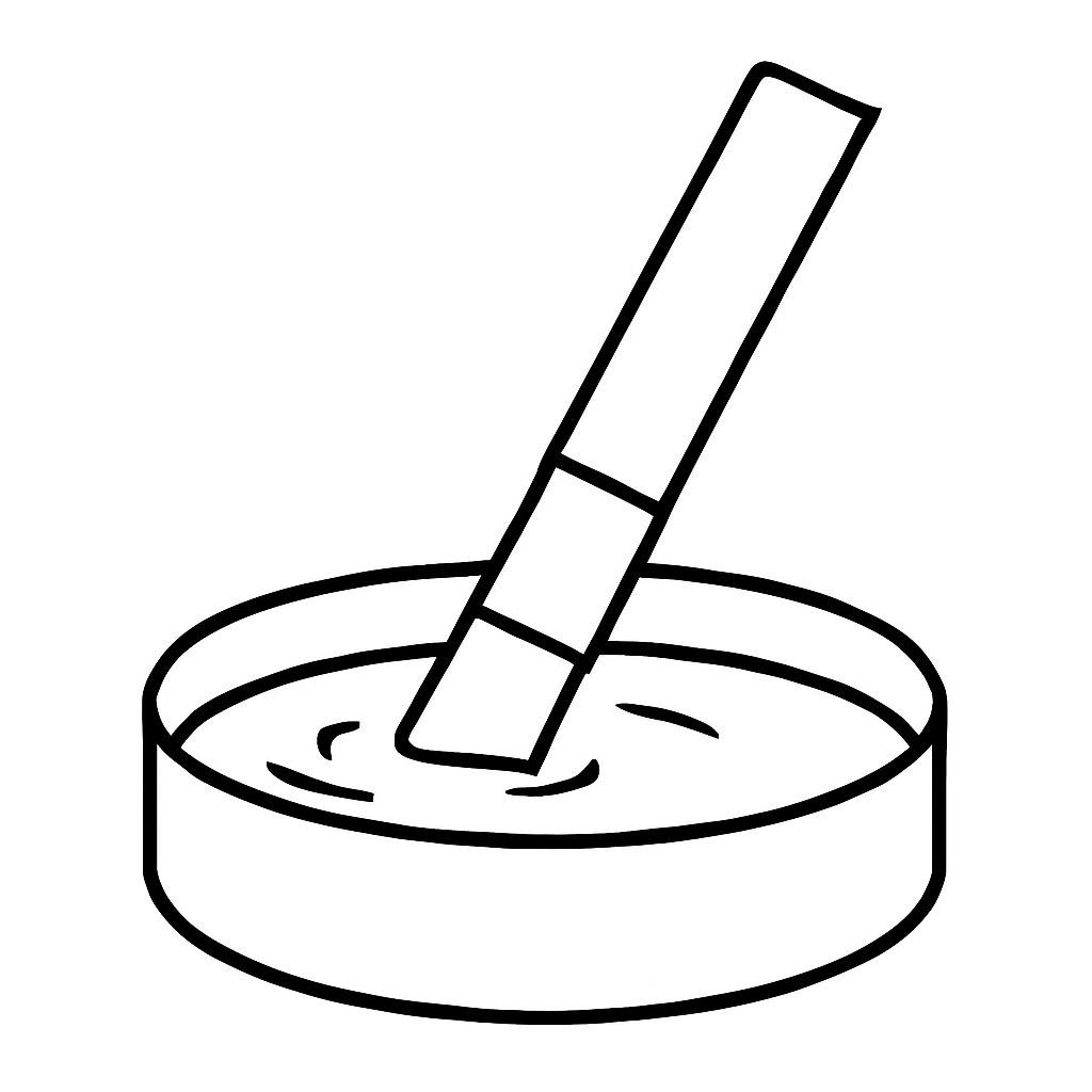 Лакмус