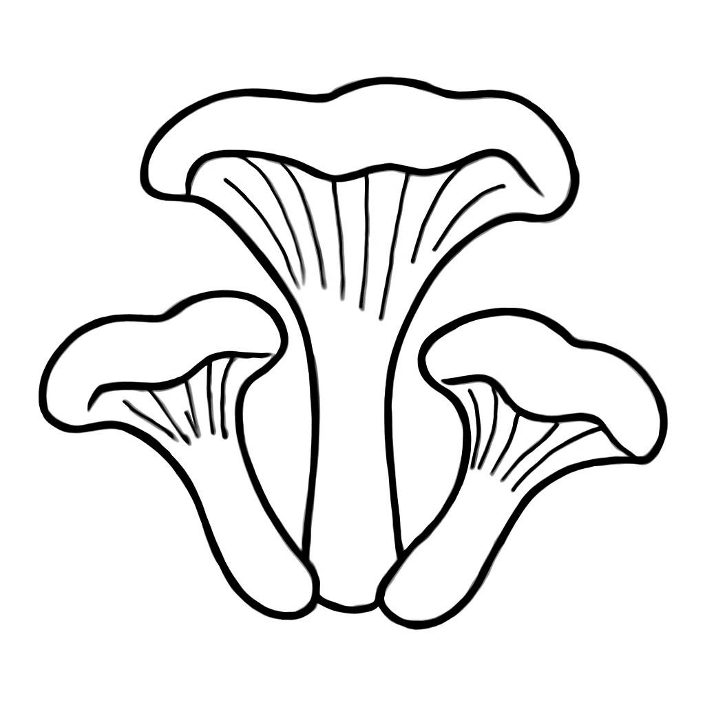 Лисички