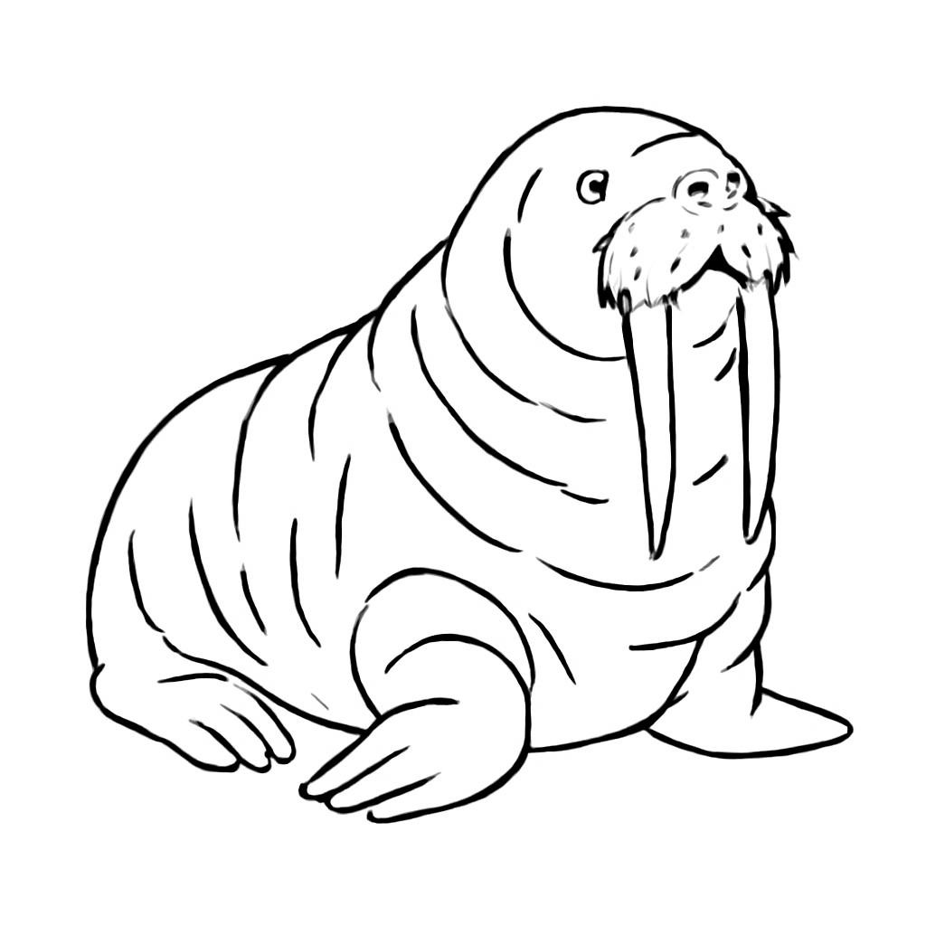 Морж