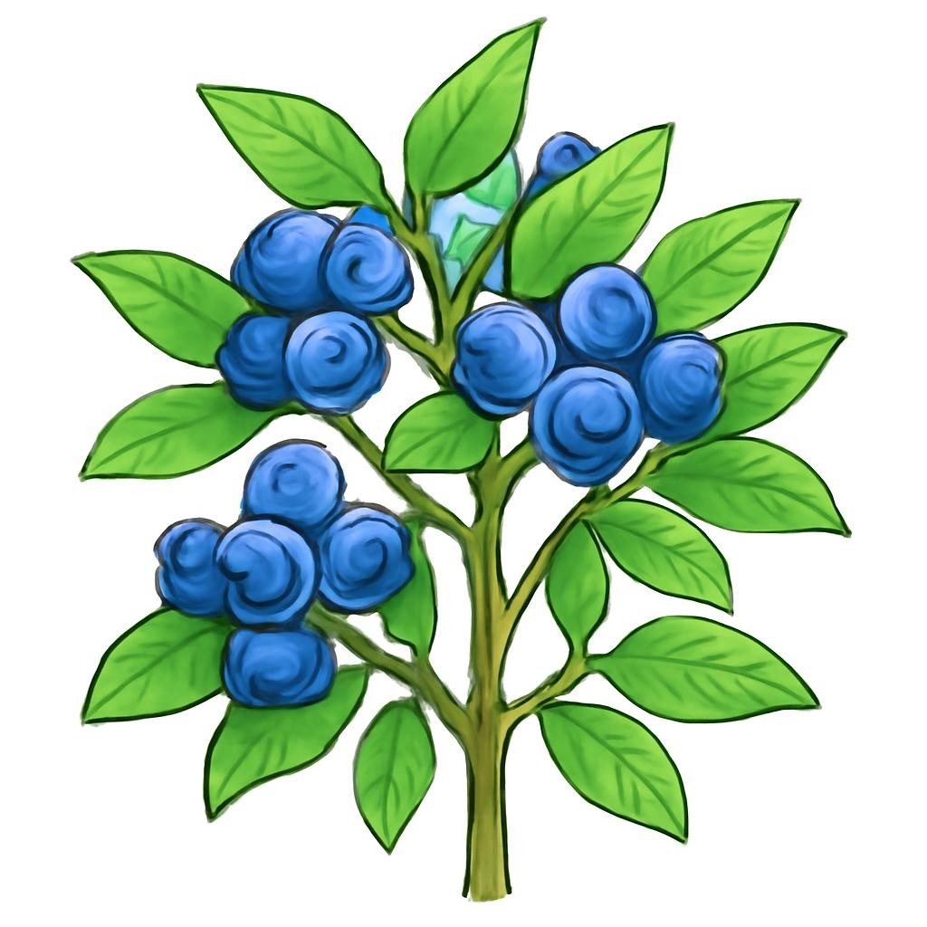 Черника