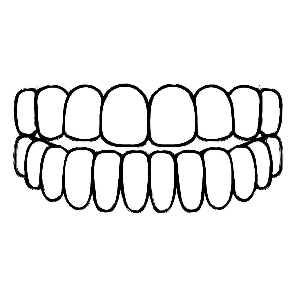 Зубы