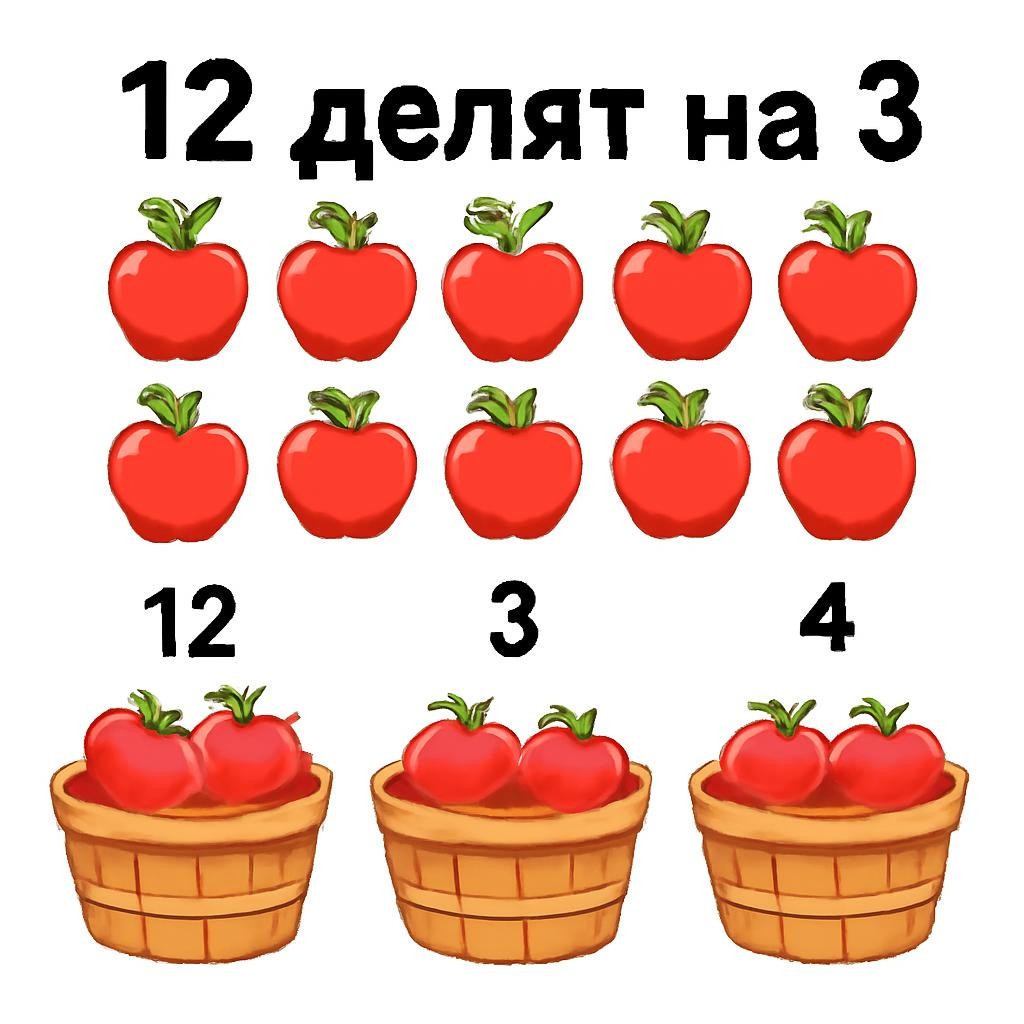 Слайд 8 «Компоненты деления» — иллюстрация к презентации «Умножение и деление: открываем тайны математических действий» по математике для 2 класса