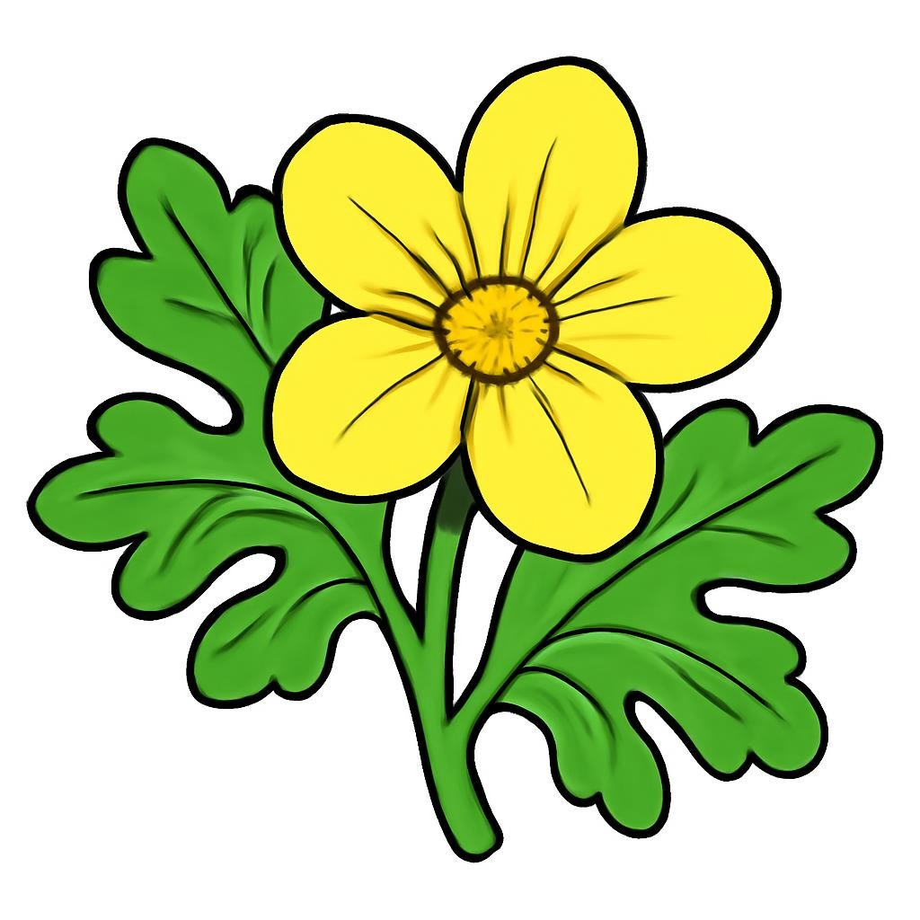 Раскраска