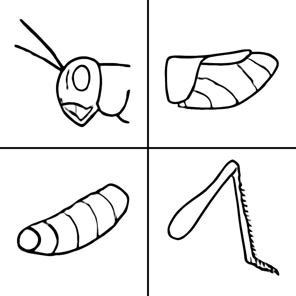 A 2x2 grid of four distinct body parts of a grasshopper, black and white line-art, simple bold contours, no shading, plain white background, no text. Quadrant 1: grasshopper head with long antennae. Quadrant 2: grasshopper thorax (the middle part). Quadrant 3: grasshopper abdomen (the rear part). Quadrant 4: grasshopper's long jointed legs.