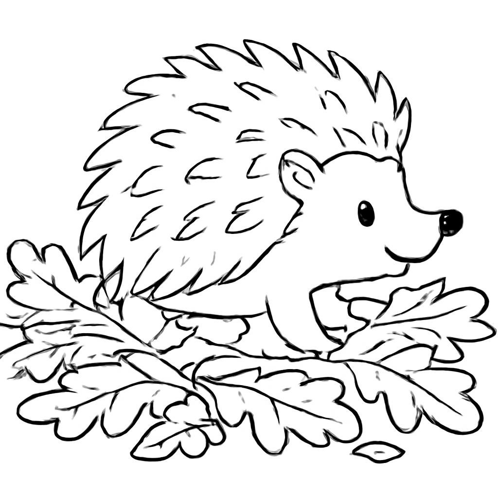Раскраска